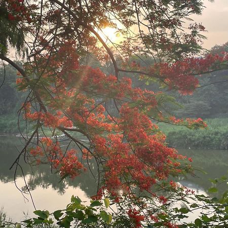 遗忘时光guesthouse Sky Dragon Guesthouse Luang Prabang Exteriör bild